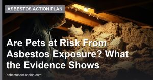 Are Pets at Risk From Asbestos Exposure? What the Evidence Shows